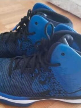 Air Jordan XXX1